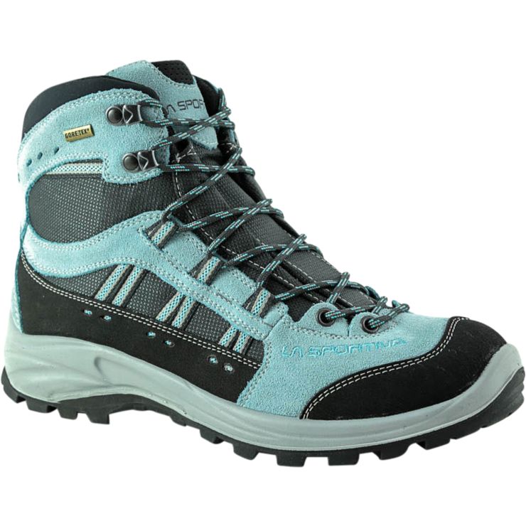 Cevedale 2.0 GTX