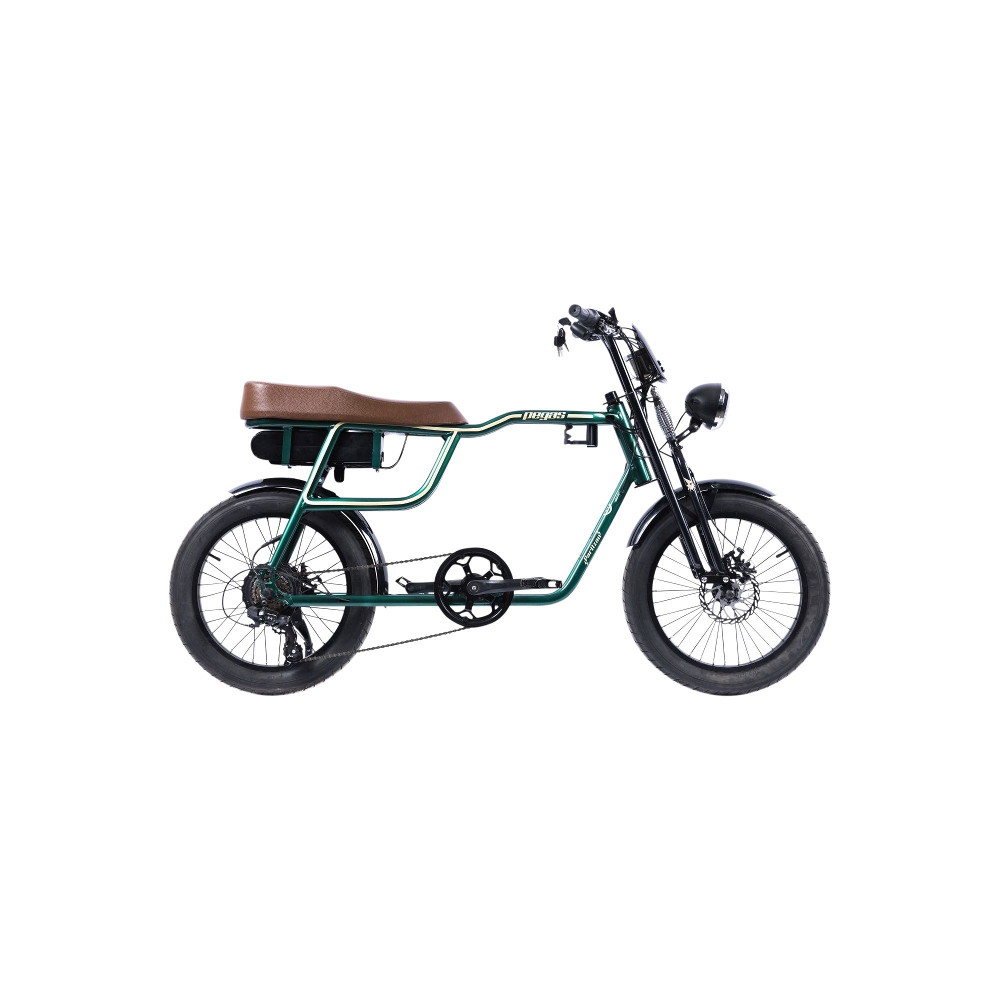 Bicicleta electrica Partizan bicicleta imagine 2022