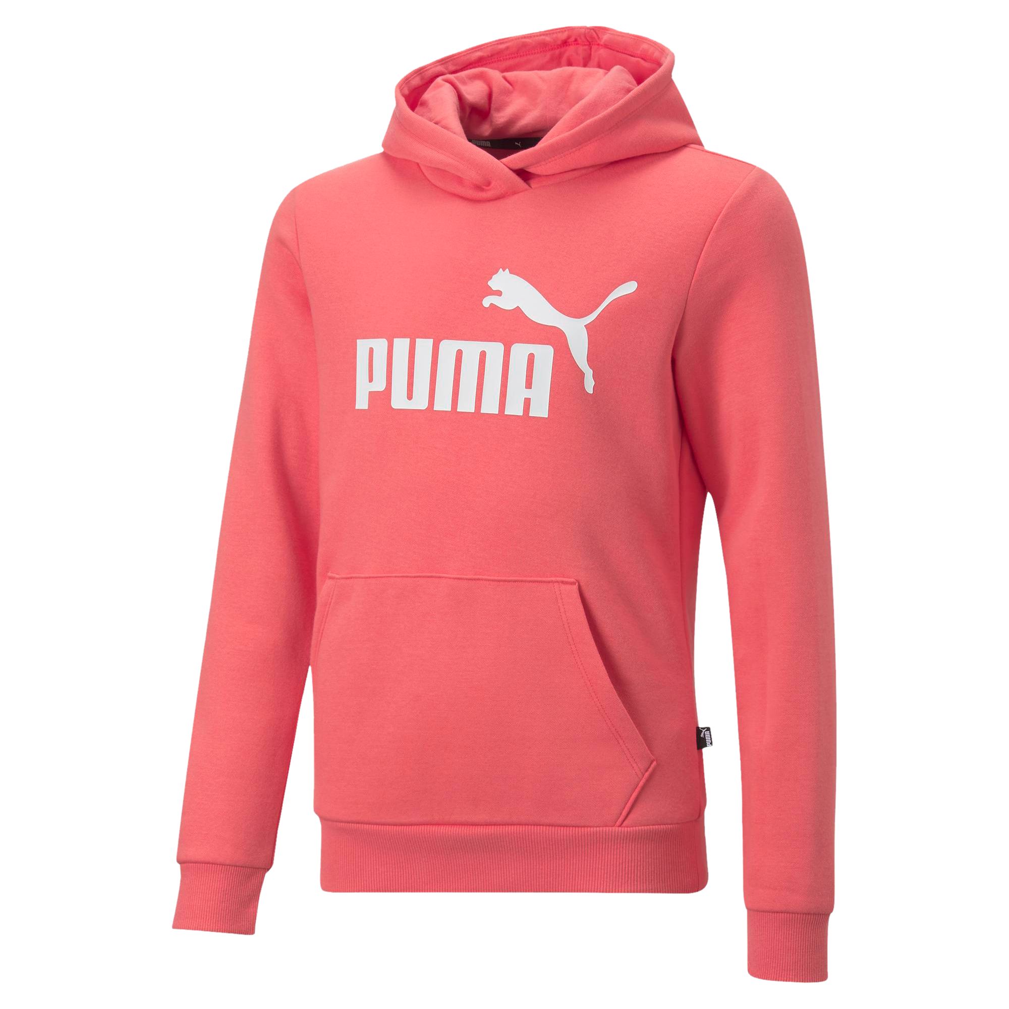 Hanorace & Pulovere Casual Hoodie Puma La reduceri Casual