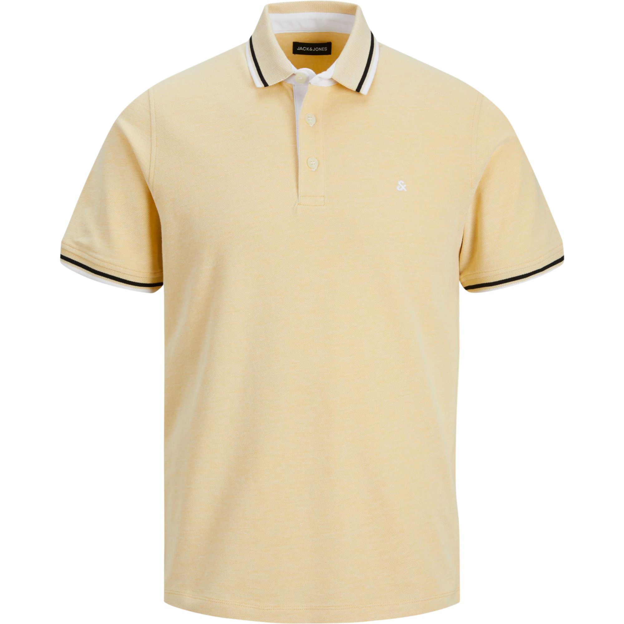 Polo paulos