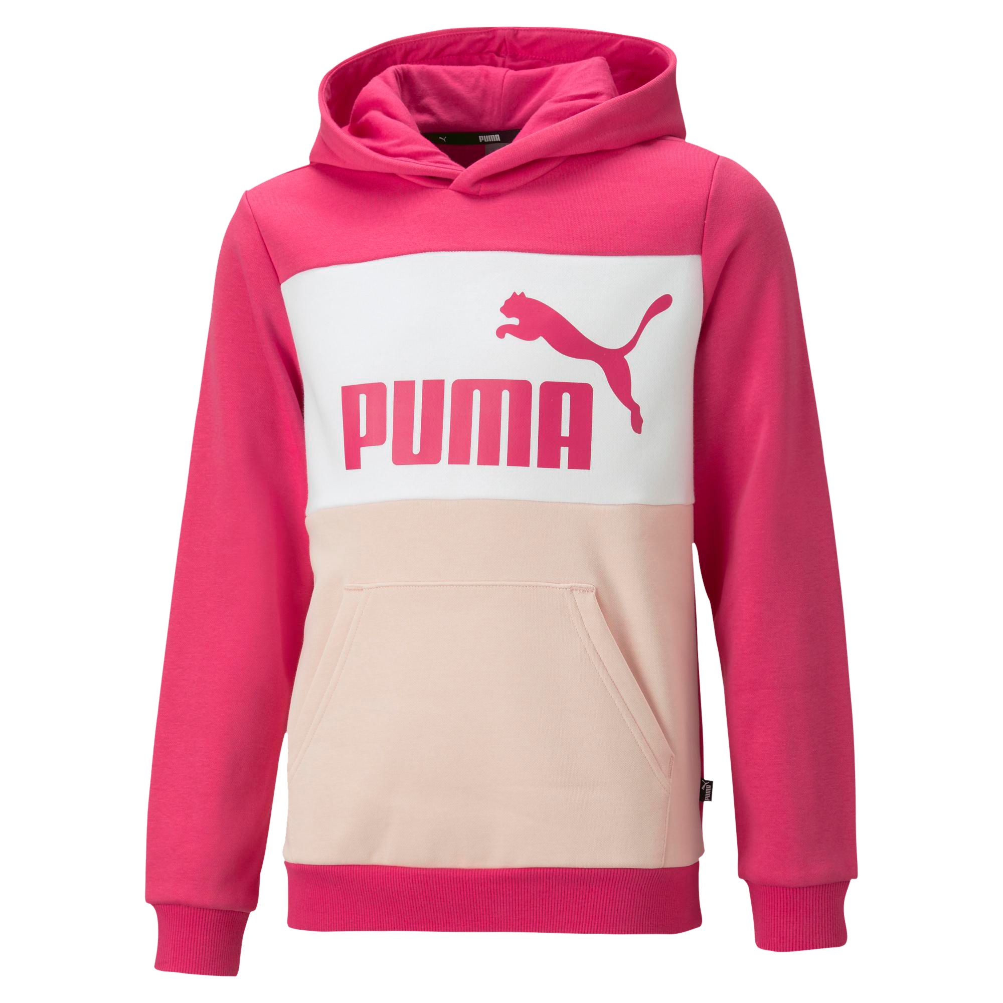 Ess+ colorblock hoodie fl b