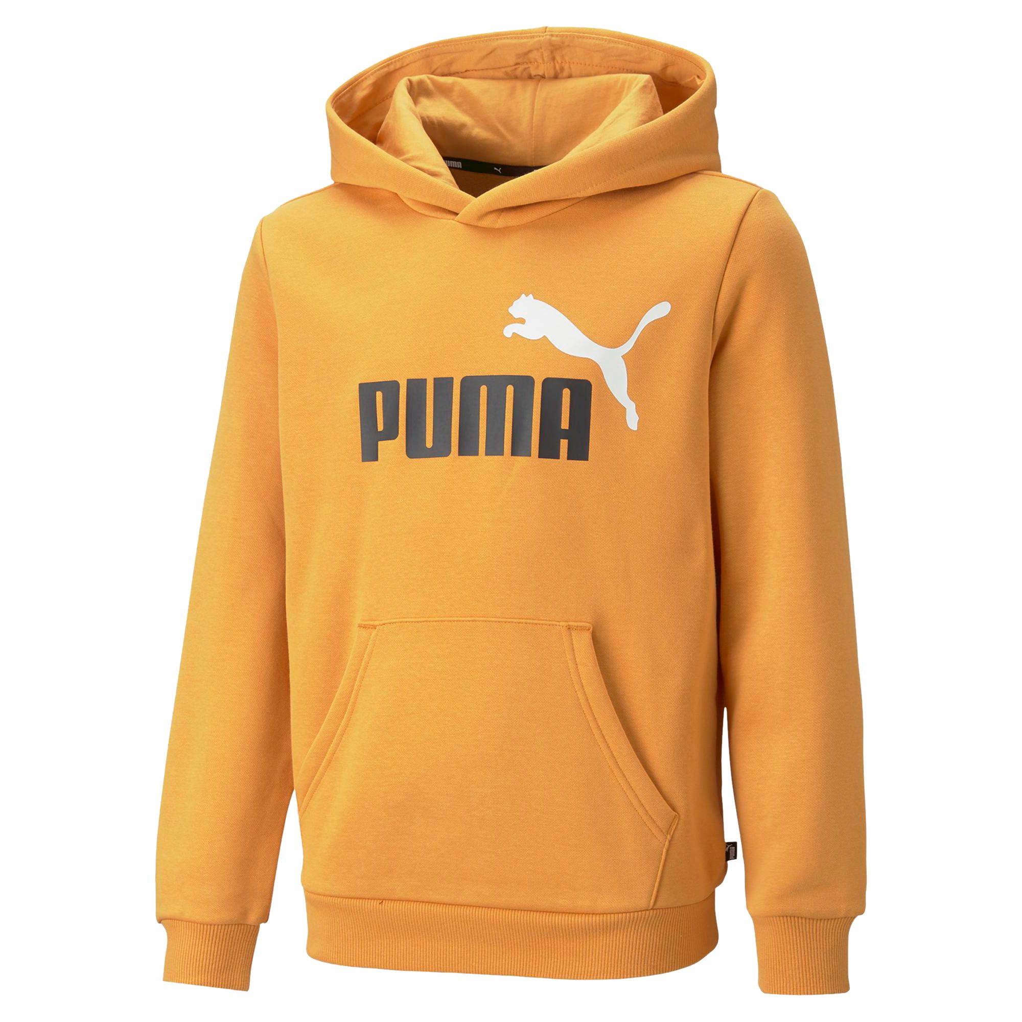 Big logo hoodie