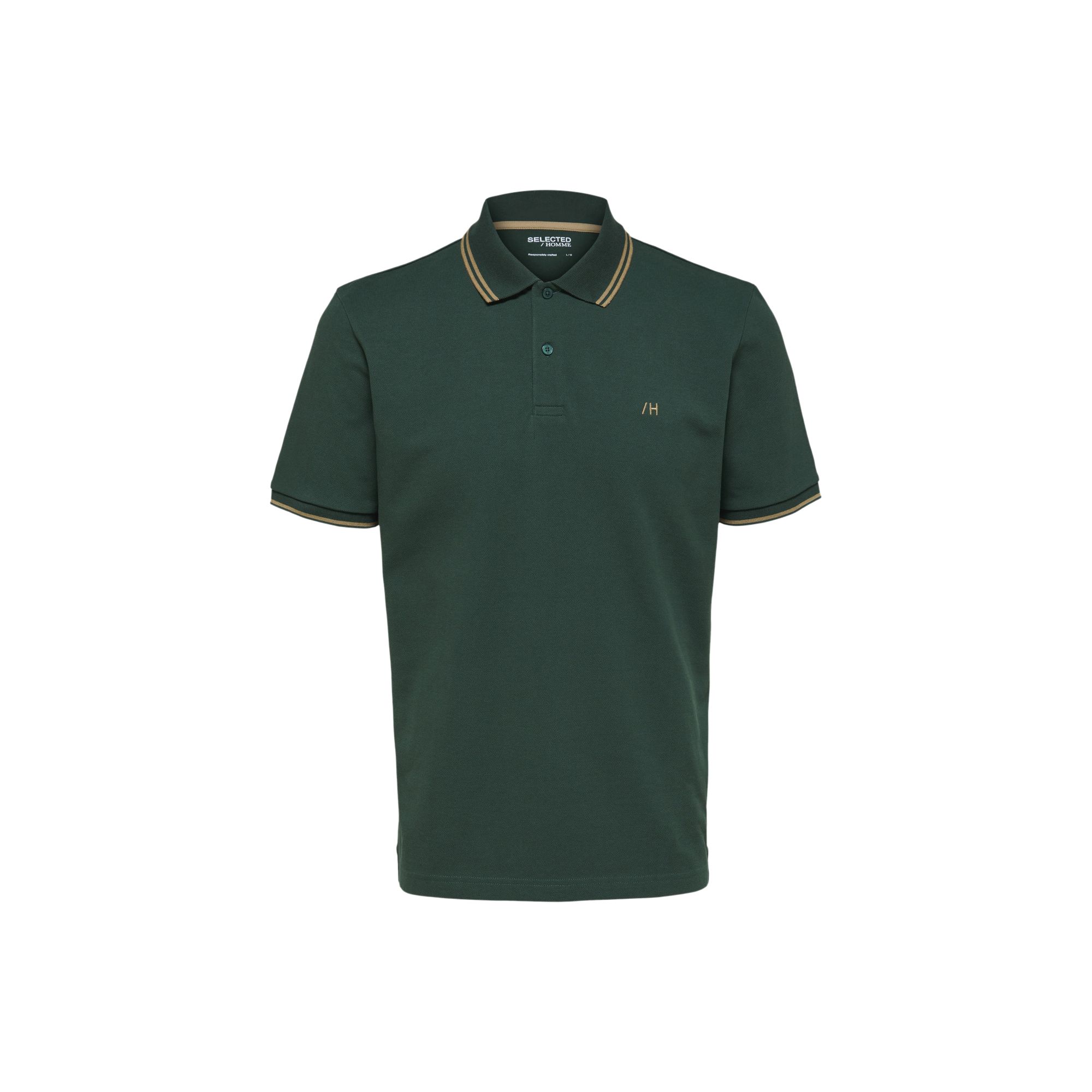 Polo dante