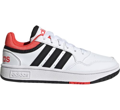HOOPS 3.0 HOOPS 3.0