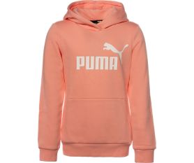 ESS Logo Hoodie FL G