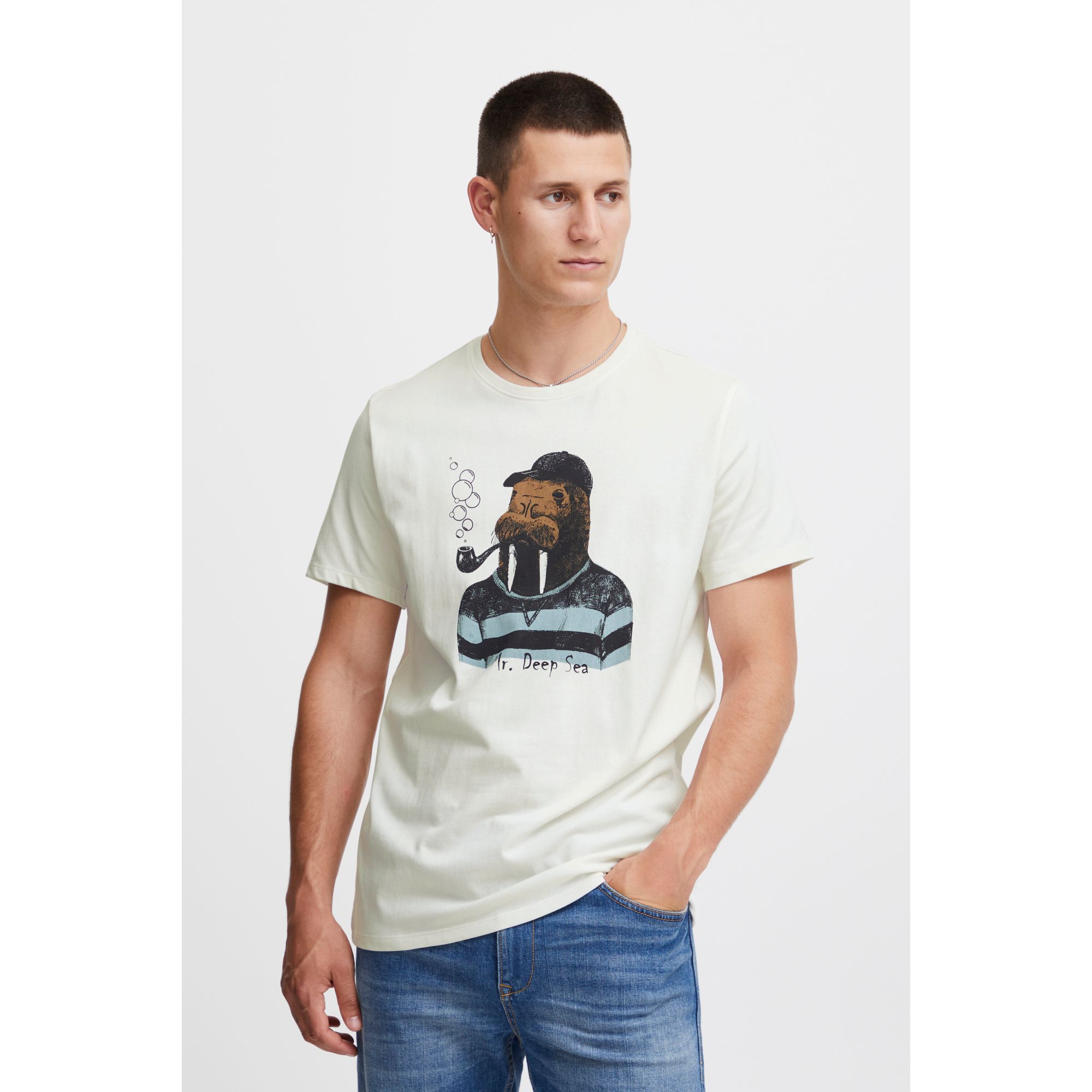 Sea lion