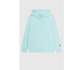 Icons Hooded Sweatshirt Small Logo