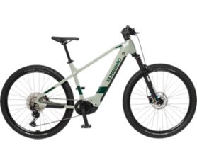 X-FACT E-Race 29