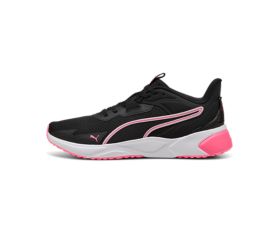 Disperse XT 4