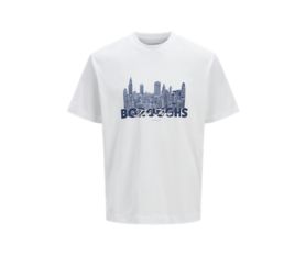Boston Alb