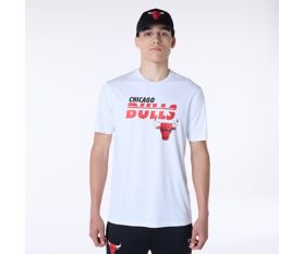 Chicago Bulls Essentials