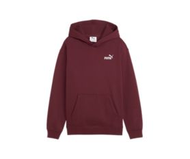 ESS Small No. 1 Logo Relaxed Hoodie FL