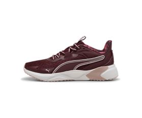 Disperse XT 4