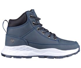 Aron albastru inchis