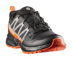 OUTSCAPE WP J Flugblatt Badge