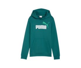 ESS 2 COLOR No.1 Logo Hoodie TR B