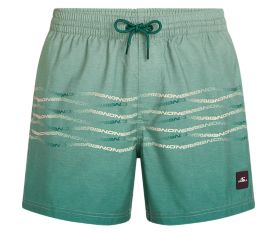 O'Neill First 15" Swimshorts