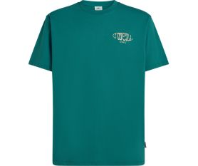 Box Logo Tee