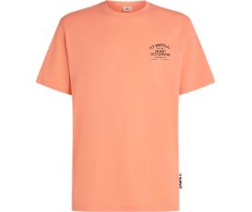 Chest Print Tee