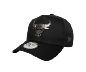 Metallic E-Frame Chicago Bulls