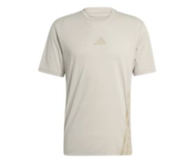Terrex Xperior Climacool+ Tee grau