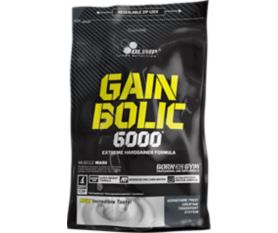 Gain Bolic 6000 Chocolate 1kg