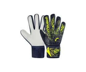 ATTRAKT STARTER SOLID