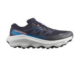ULTRA FLOW 2 GTX